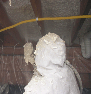 Ottawa ON crawl space insulation